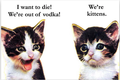 Vodka Kitties Magnet