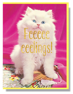 Feeeeelings - Friendship/Love Card