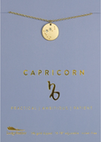 Zodiac Capricorn Necklace - Lucky Feather