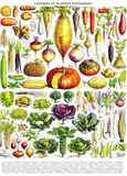 Vegetables ~ Legumes 1000pc Puzzle